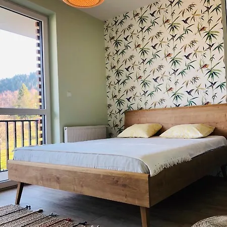 Apartament Olympic *