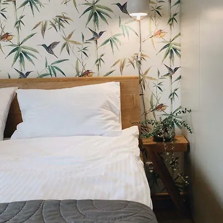 Apartament Olympic *